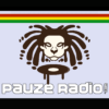 Pauze-Radio-Logo-Header