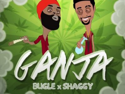 Bugle's First Single Off New Album Features Shaggy