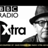 David Rodigan High Praise for Winning Right Now