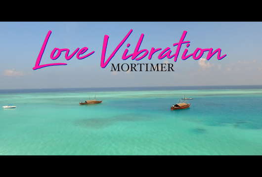 Mortimer-Love-Vibration-Lyric-Video
